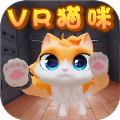 我是大橘猫